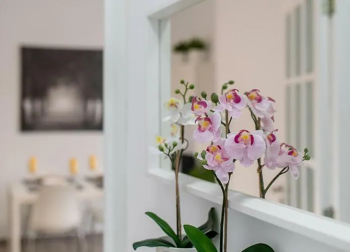 Cruz Downtown Apartment Santa Cruz de Tenerife