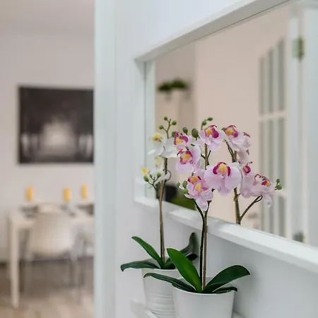 Cruz Downtown Διαμέρισμα Σάντα Κρουζ Τενερίφης